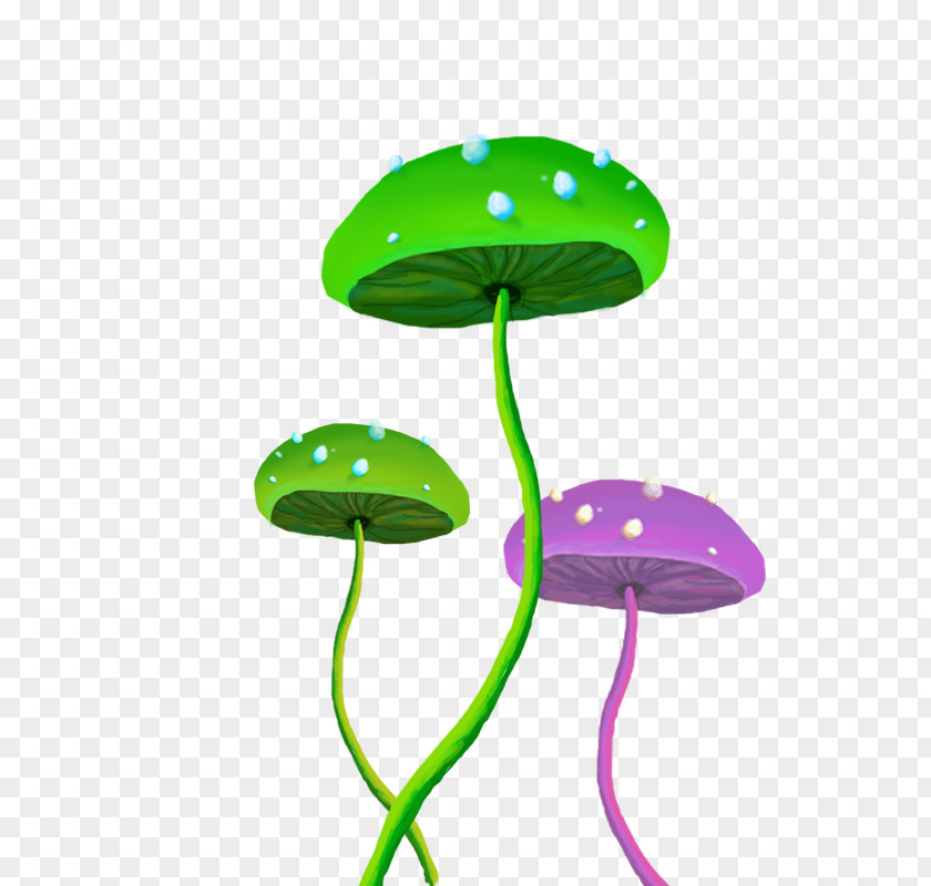 Hand Drawn Mushrooms Leaf Plant Stem Clip Art PNG