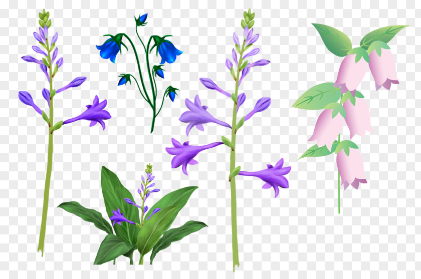 Hand-painted Lily Of The Valley Clip Art PNG