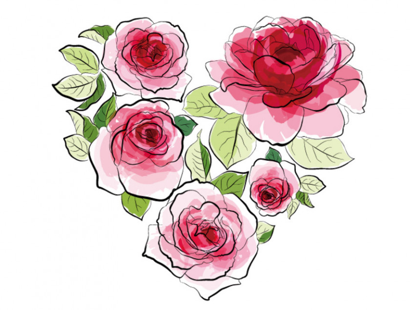 Rose Watercolor Painting Drawing PNG
