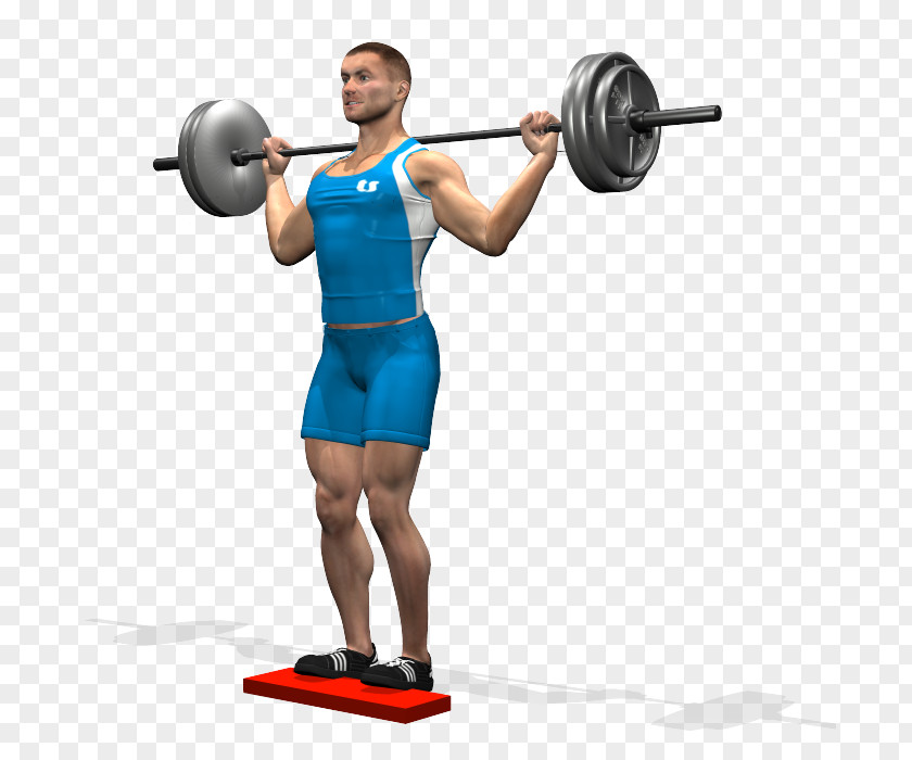 Barbell Weight Training Calf Raises Dumbbell PNG