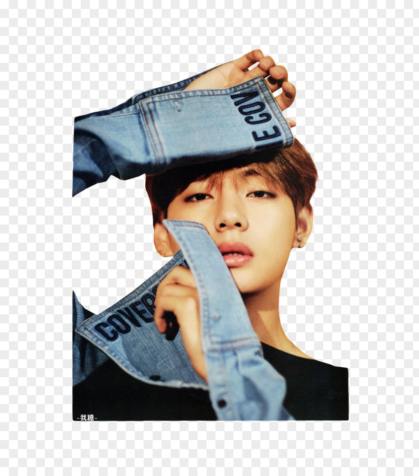 Bts Blood Sweat And Tears Kim Taehyung BTS Non-no Magazine N.O -Japanese Ver PNG