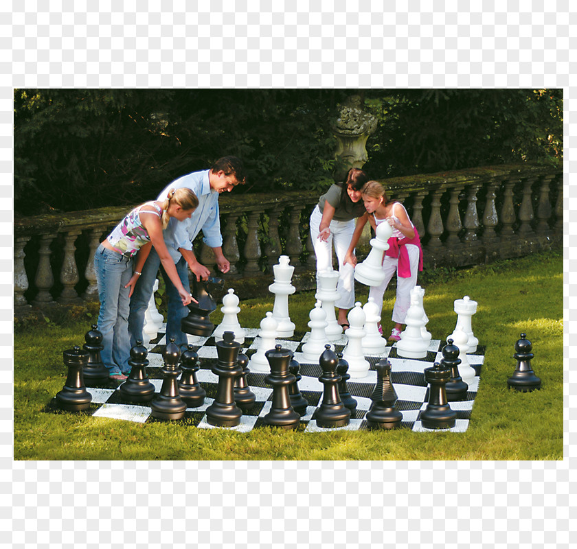 Chess Piece Draughts Connect Four Game PNG