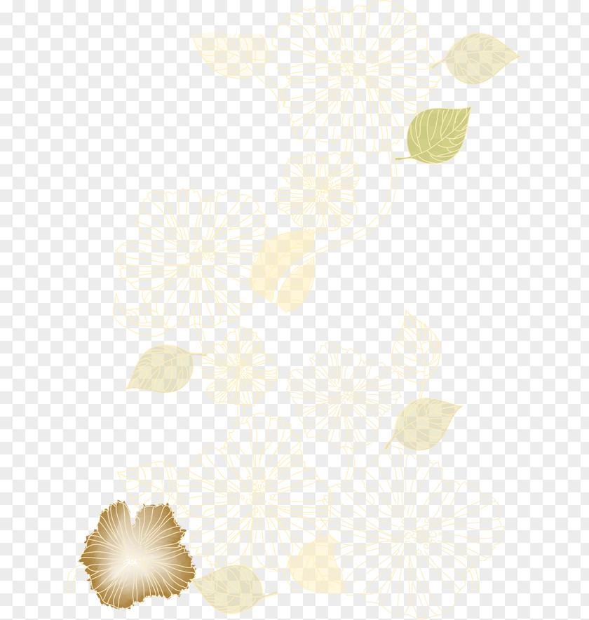 Flowers Pattern White PNG