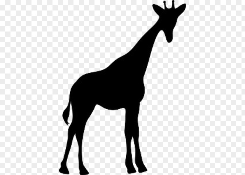 Giraffe Silhouette Clip Art PNG