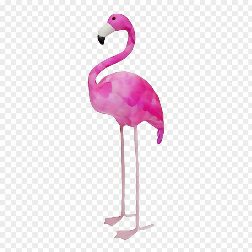 Magenta Beak Flamingo PNG