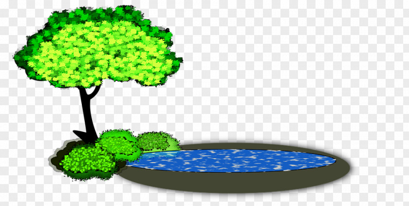 Pond Royaltyfree Vector Graphics Clip Art Image Free Content PNG