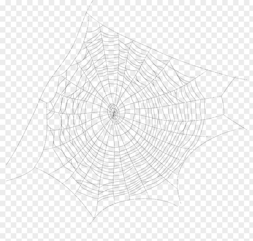 Spider Web Drawing Point PNG