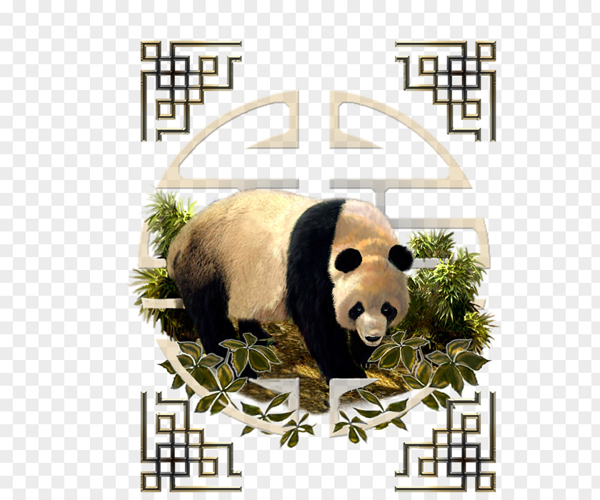 Great Wall Of China Giant Panda Bear Carnivora Mammal Animal PNG