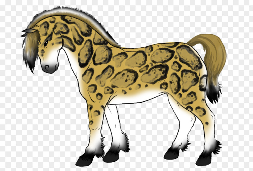 Mustang Savannah Cat Pony Howrse Animal PNG