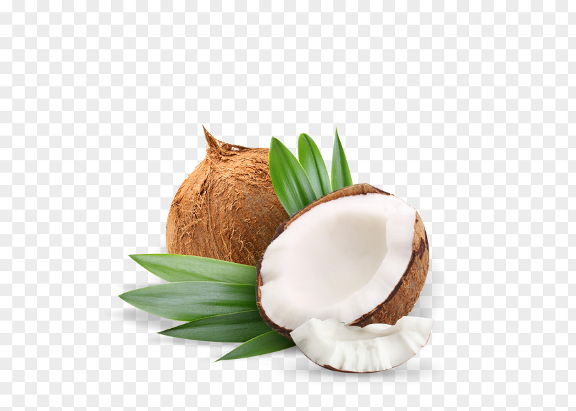 Oil Coconut Olive Health PNG