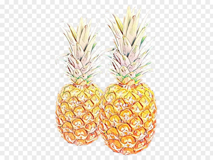 Poales Food Pineapple PNG