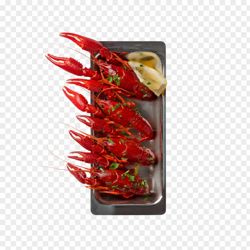 Red Lobster Congee Seafood Cantonese Cuisine PNG