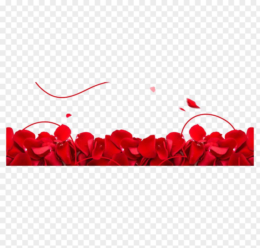 Rose Decoration Beach Petal Valentines Day Flower PNG