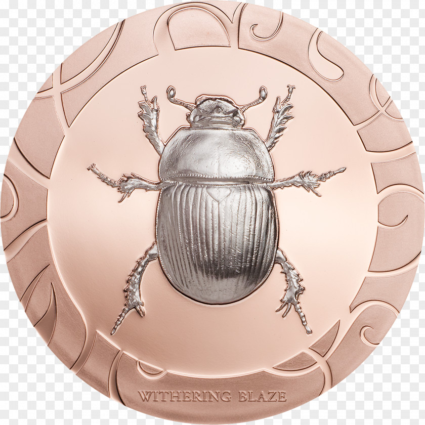 Silver Coin Cupronickel Gold PNG