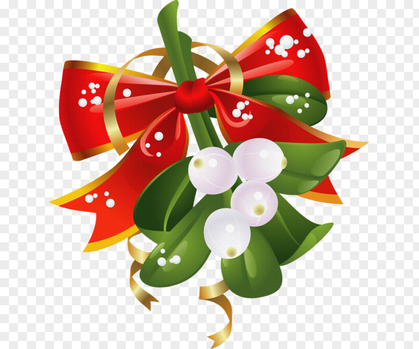 Christmas Ornament New Year Holiday PNG