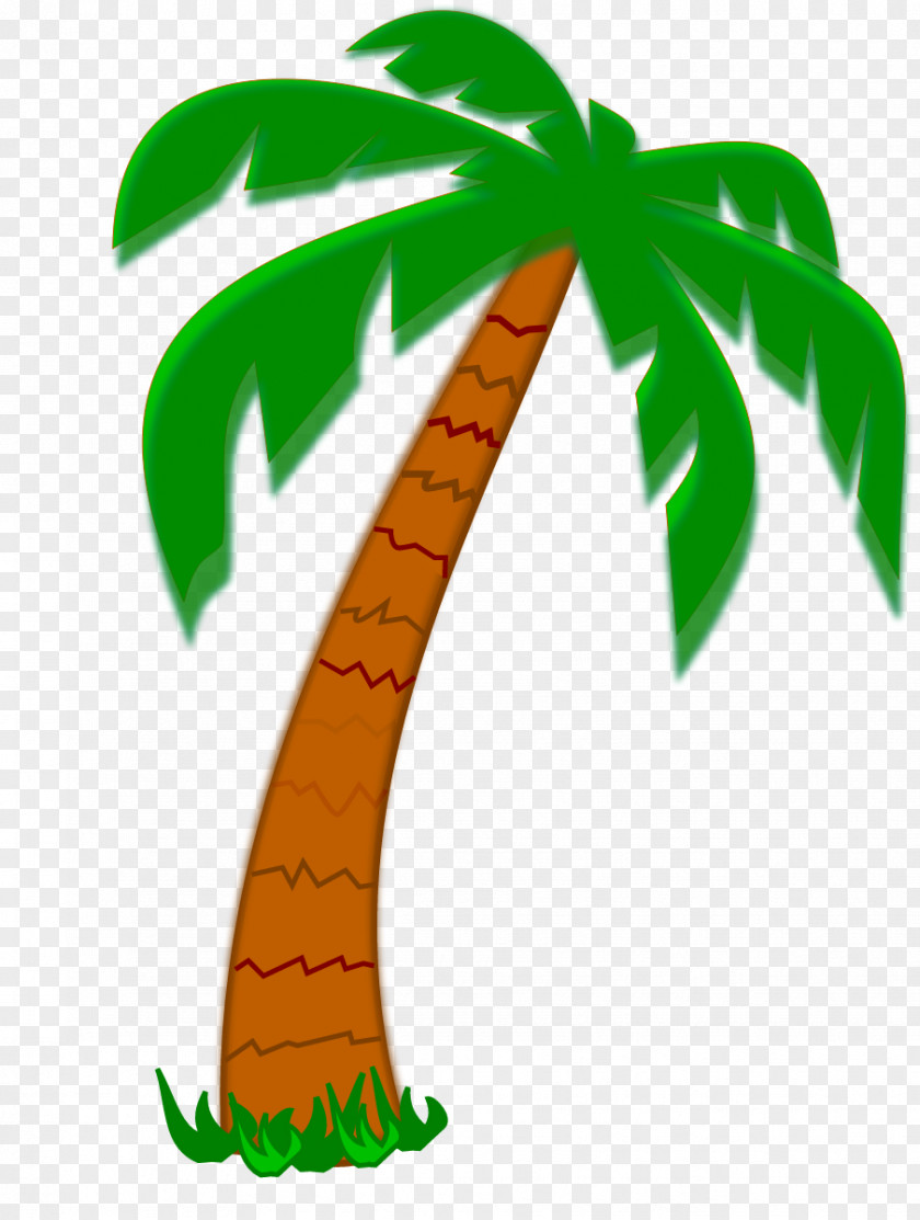 Coconut Tree Arecaceae Date Palm Clip Art PNG