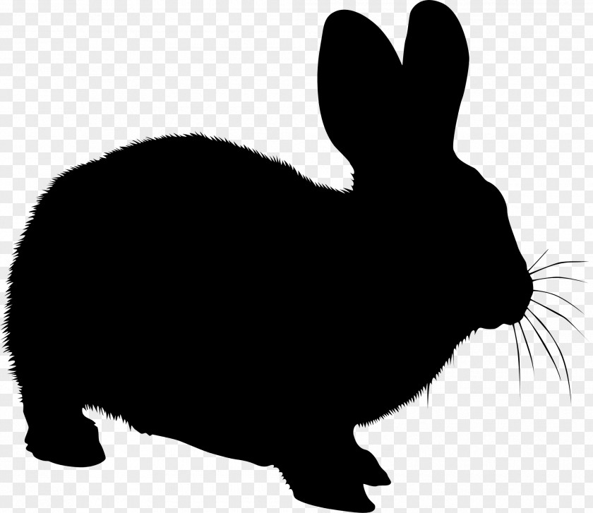 M Whiskers Domestic Rabbit Hare Black & White PNG