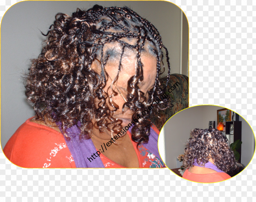 Model Afro Braid Dreadlocks Hairstyle PNG