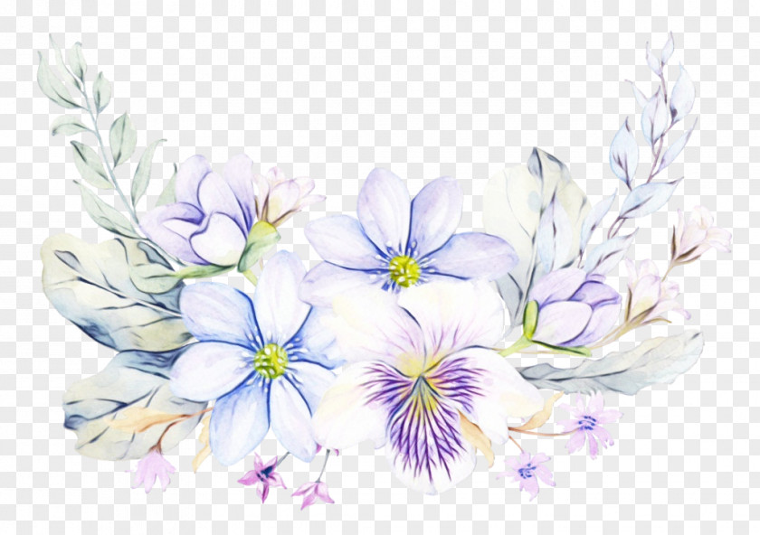 Perennial Plant Iris Purple Watercolor Flower PNG