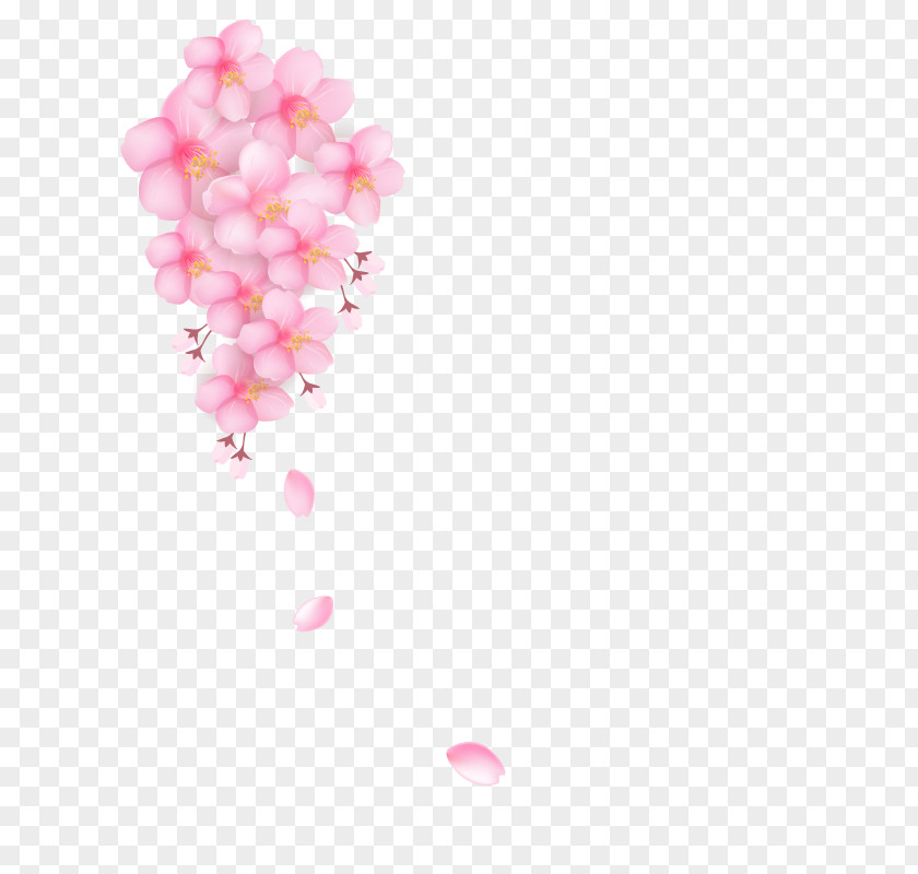 Pink Cherry Tree Flowers Download Blossom Petal PNG