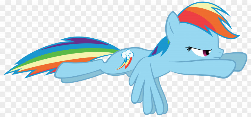 Rainbow Dash Rarity Twilight Sparkle Pinkie Pie Applejack PNG