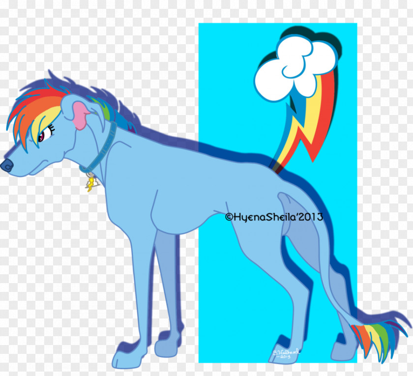 Saluki Applejack Greyhound Shih Tzu Rainbow Dash PNG
