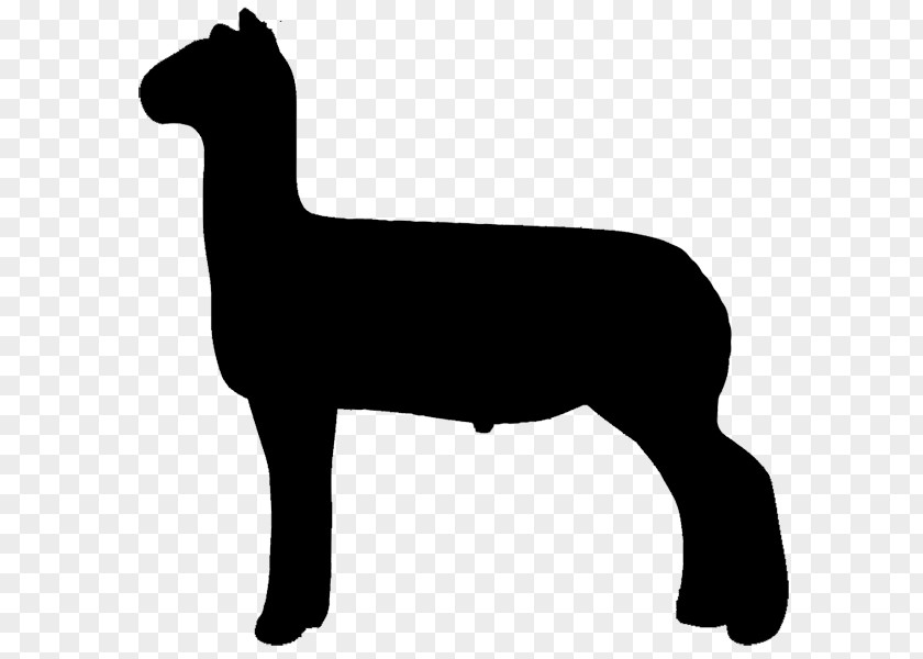 Sheep Livestock Logo Clip Art PNG