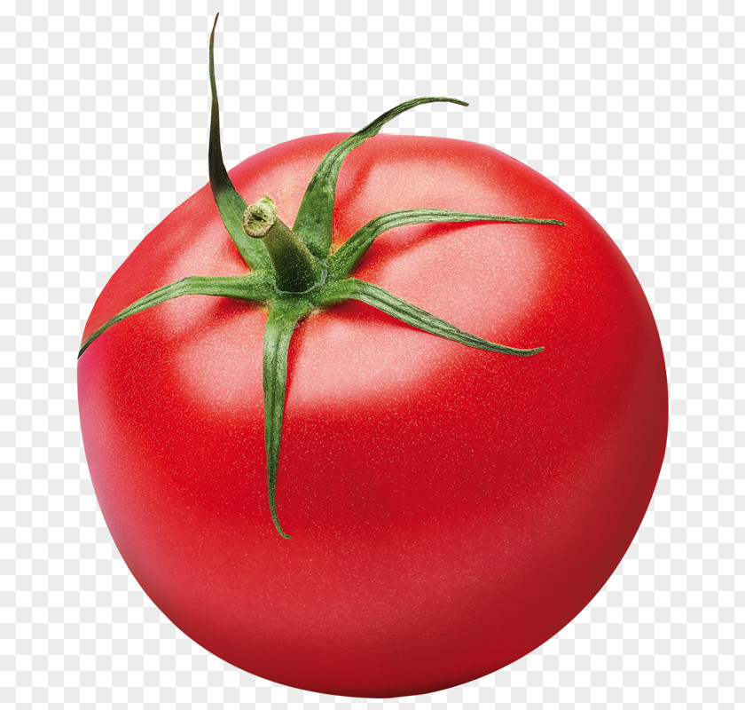 Tomato Plum Vegetable Bush Ketchup PNG