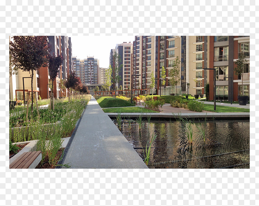 Water Property Urban Design Condominium Suburb PNG