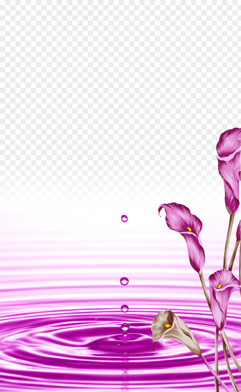 Atmospheric Background Beautiful Purple Flowers Download Wallpaper PNG