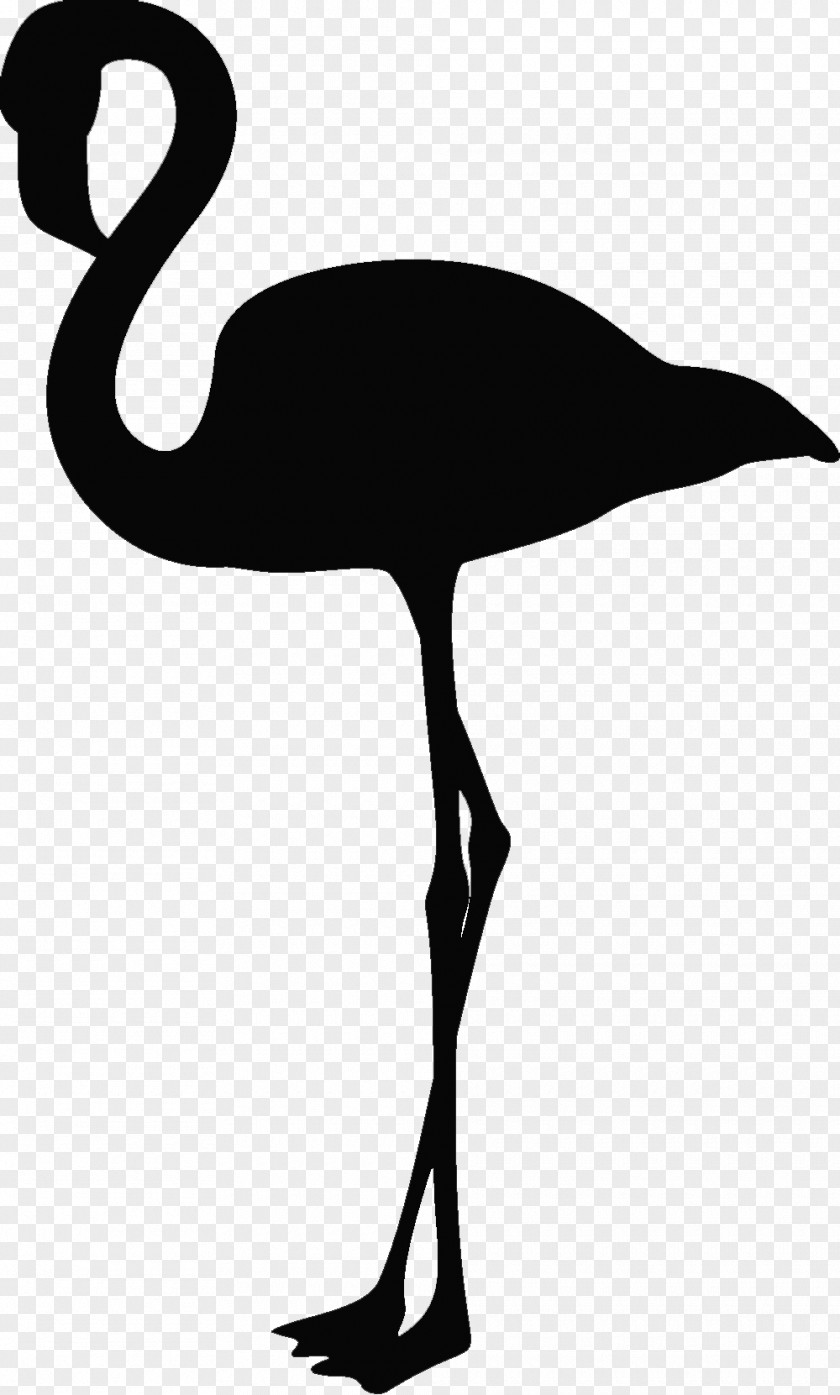 Bird Flamingo Silhouette Beak Clip Art PNG