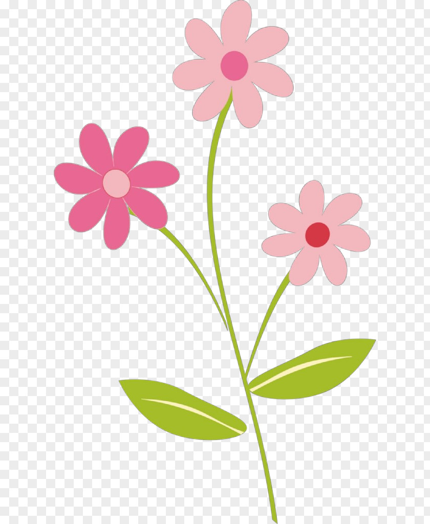 Clip Art Decorative Borders Flower Transparency PNG