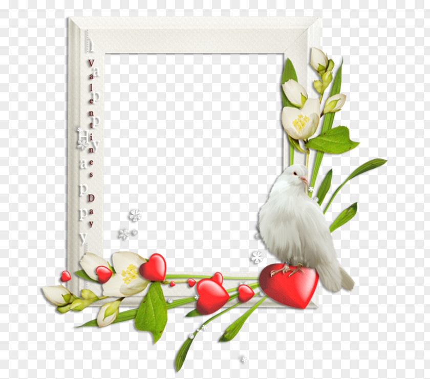 Design Floral Cut Flowers Picture Frames PNG