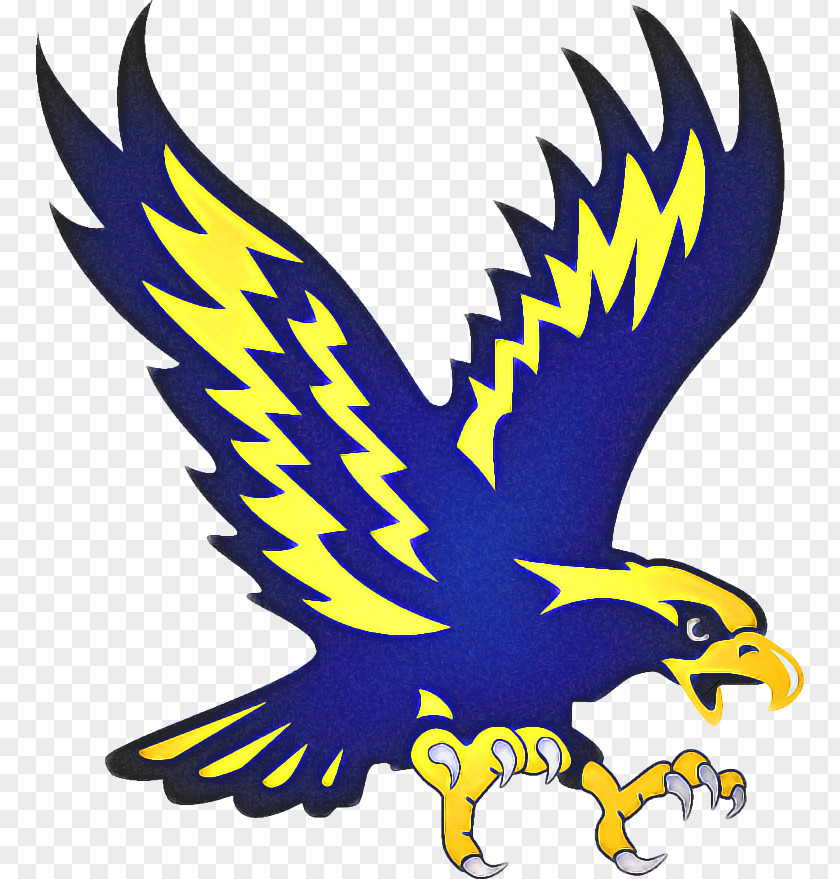 Falconiformes Bald Eagle American Football Background PNG