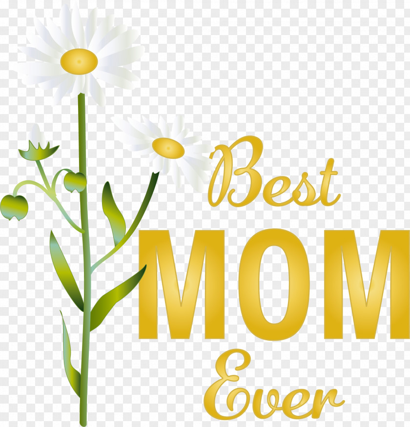 Floral Design PNG