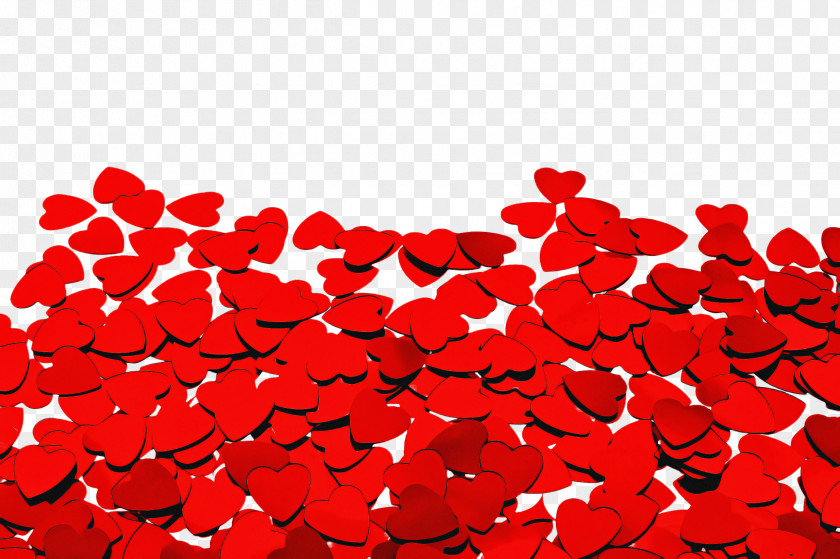 Flower Plant Valentine's Day PNG