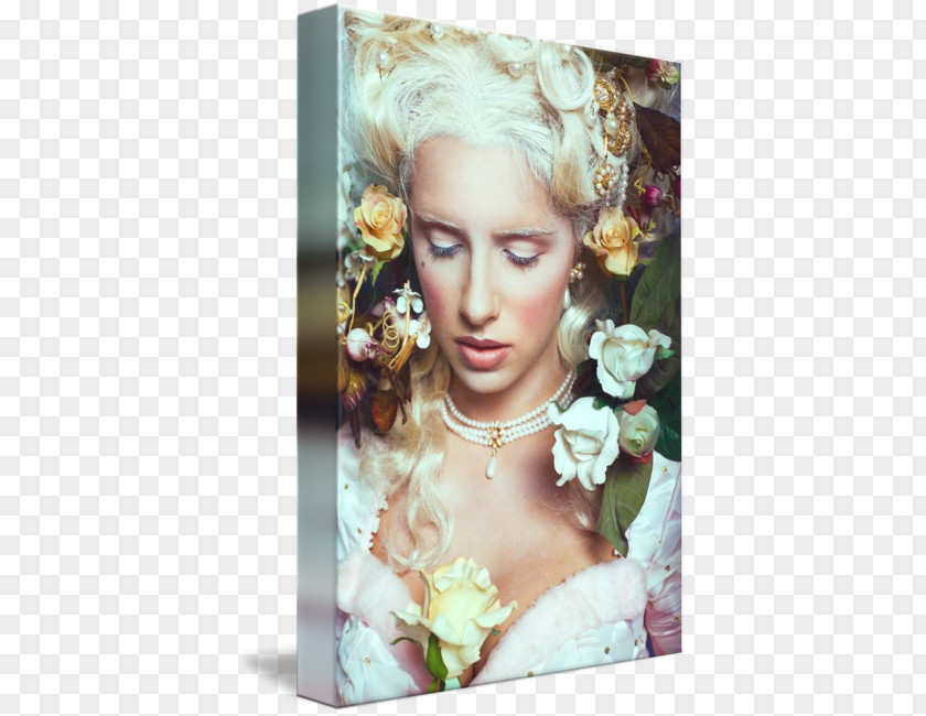 MARIE ANTOINETTE Marie Antoinette Fashion Photography Photographer Floral Design PNG