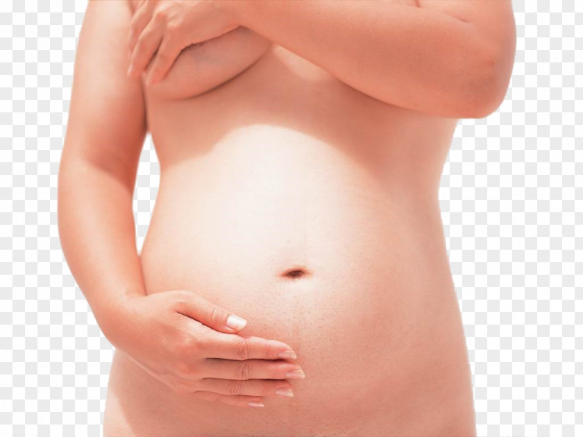 Pregnant Woman,belly,pregnancy,Mother,Pregnant Mother Abdomen Pregnancy Woman PNG
