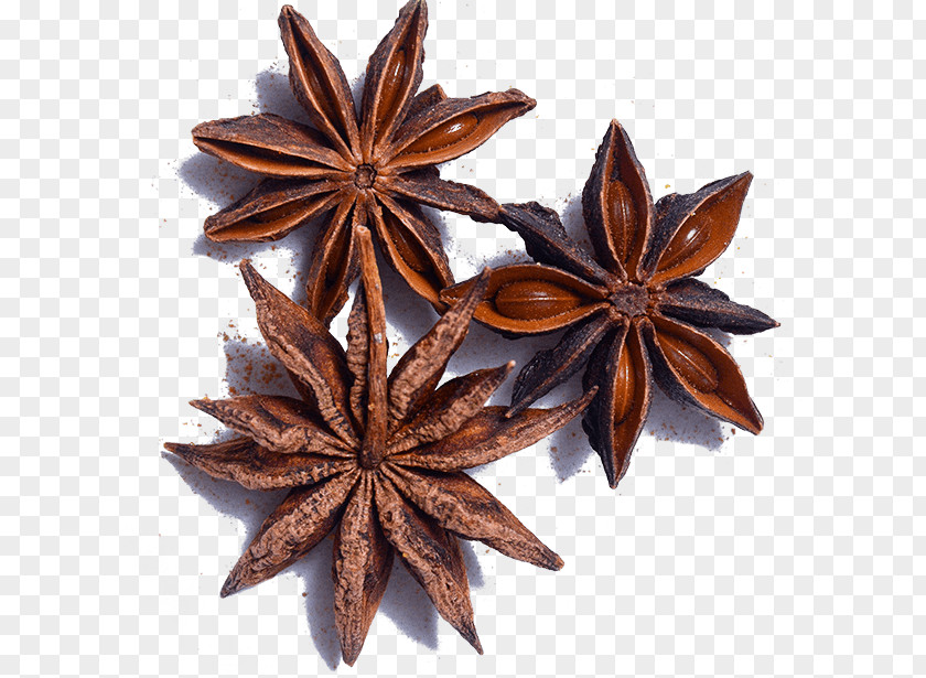 Sweet Gum Herb Star Anise Plant Cinnamon Leaf PNG