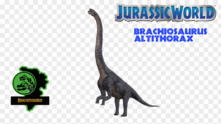 Velociraptor Mosasaurus Pachycephalosaurus Tyrannosaurus Dimorphodon PNG
