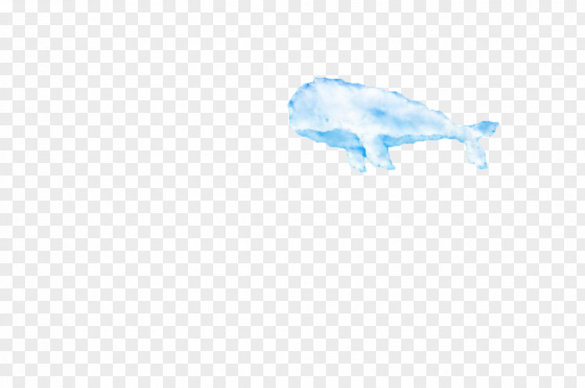 Whale Shape Clouds Pattern PNG