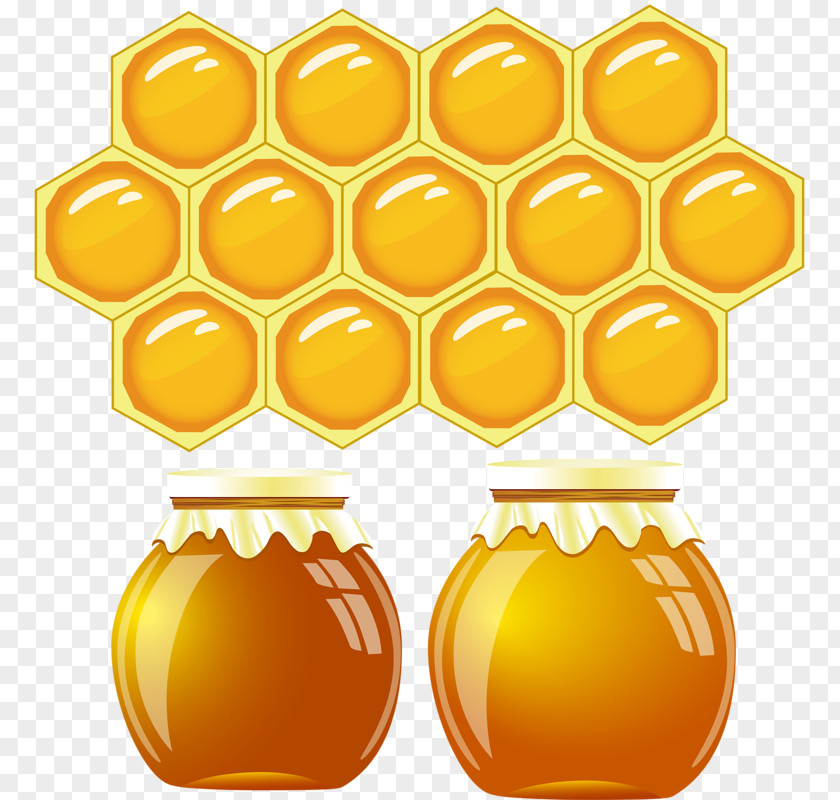 Bee Hive Honeycomb Apidae Honey Beehive PNG