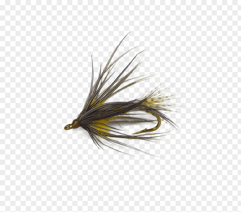 Blue Sparkle Hackle Artificial Fly Yellow Holly Flies Quill Corp PNG