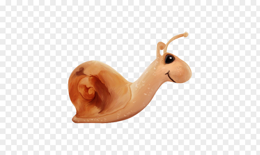 Cute Little Snail Orthogastropoda PNG