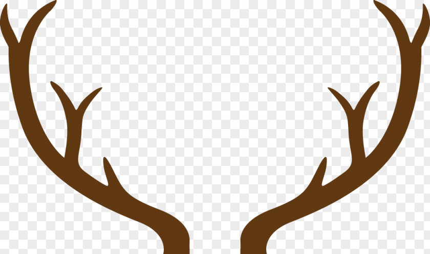 Deer Antlers Paper Greeting & Note Cards Father's Day Card Stock PNG