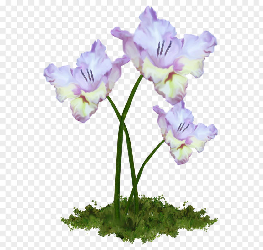 Flower Cut Flowers Bouquet Tulip Clip Art PNG