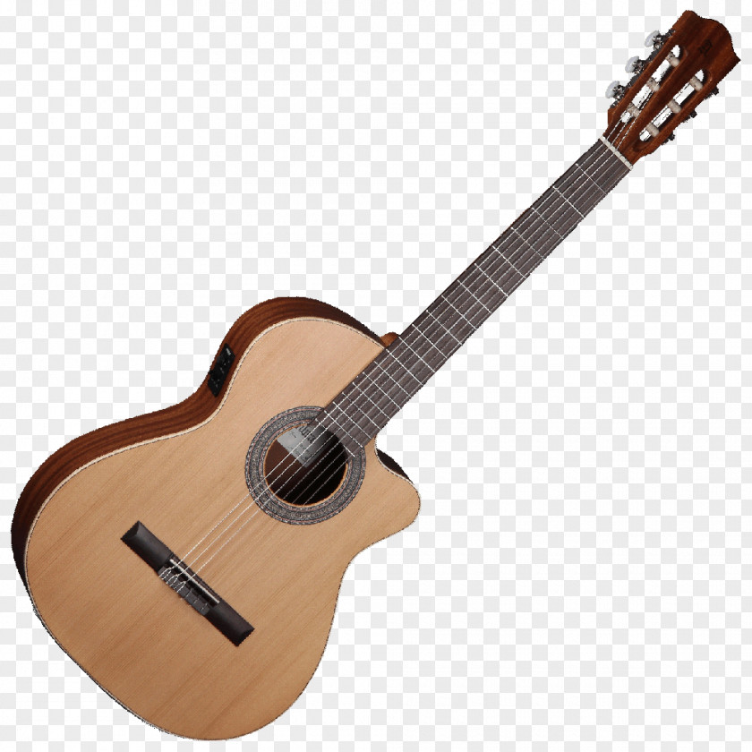 Guitar Twelve-string C. F. Martin & Company Acoustic-electric Steel-string Acoustic PNG