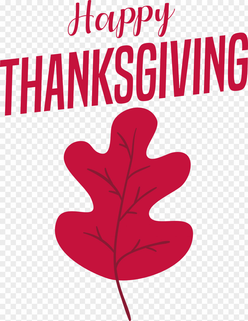 Happy Thanksgiving PNG