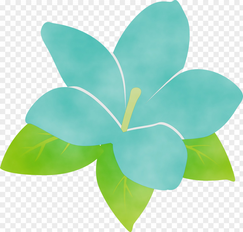 Leaf Petal Turquoise M Green Flower PNG