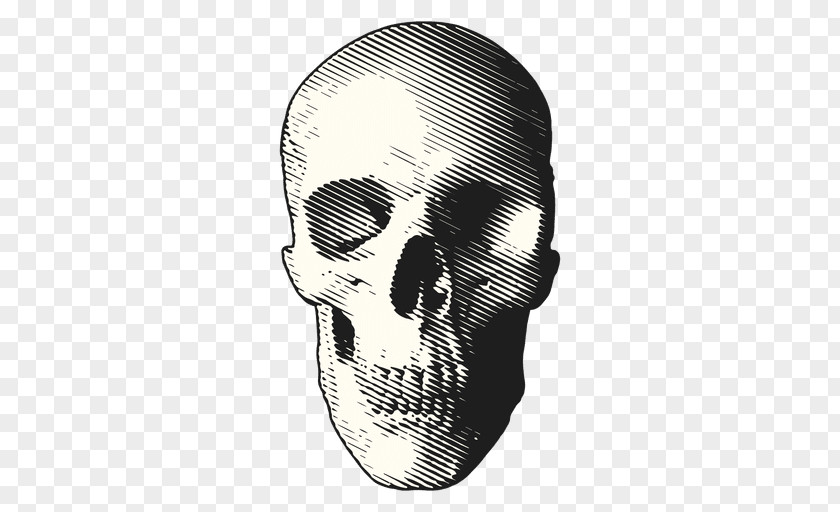 Skull Death Day Of The Dead Clip Art PNG